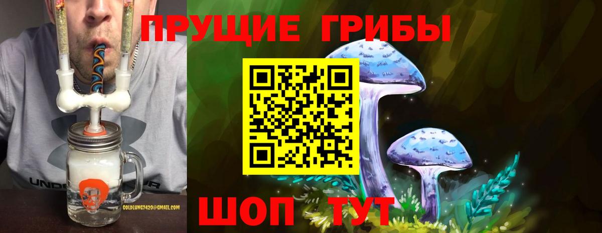 Партизанск  Псилоцибиновые грибы прущие грибы  Вход с VPN 